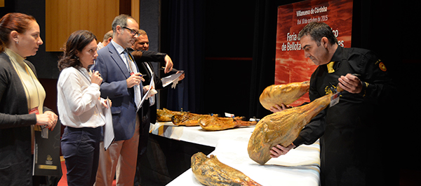 concursojamon