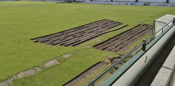 Estado del césped del Municipal el pasado mes de junio cuando se comenzó a replantar