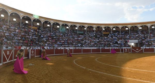 publico corrida