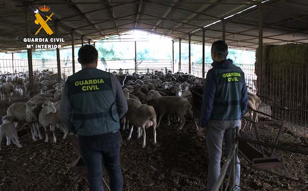 ROBOS EXPLOTACIONES AGRICOLAS Y GANADERAS II