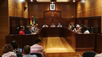 plenoorganizacion_2019