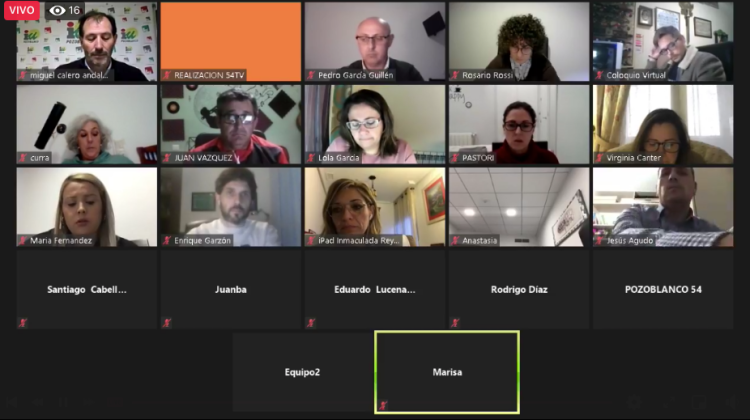Imagen del pleno telemático del mes de abril