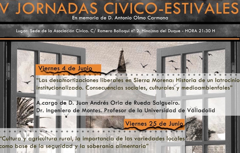 V Jornadas Civico Estivales