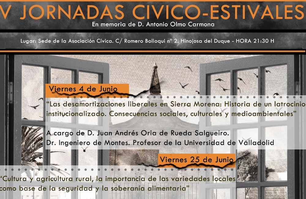 V Jornadas Civico Estivales