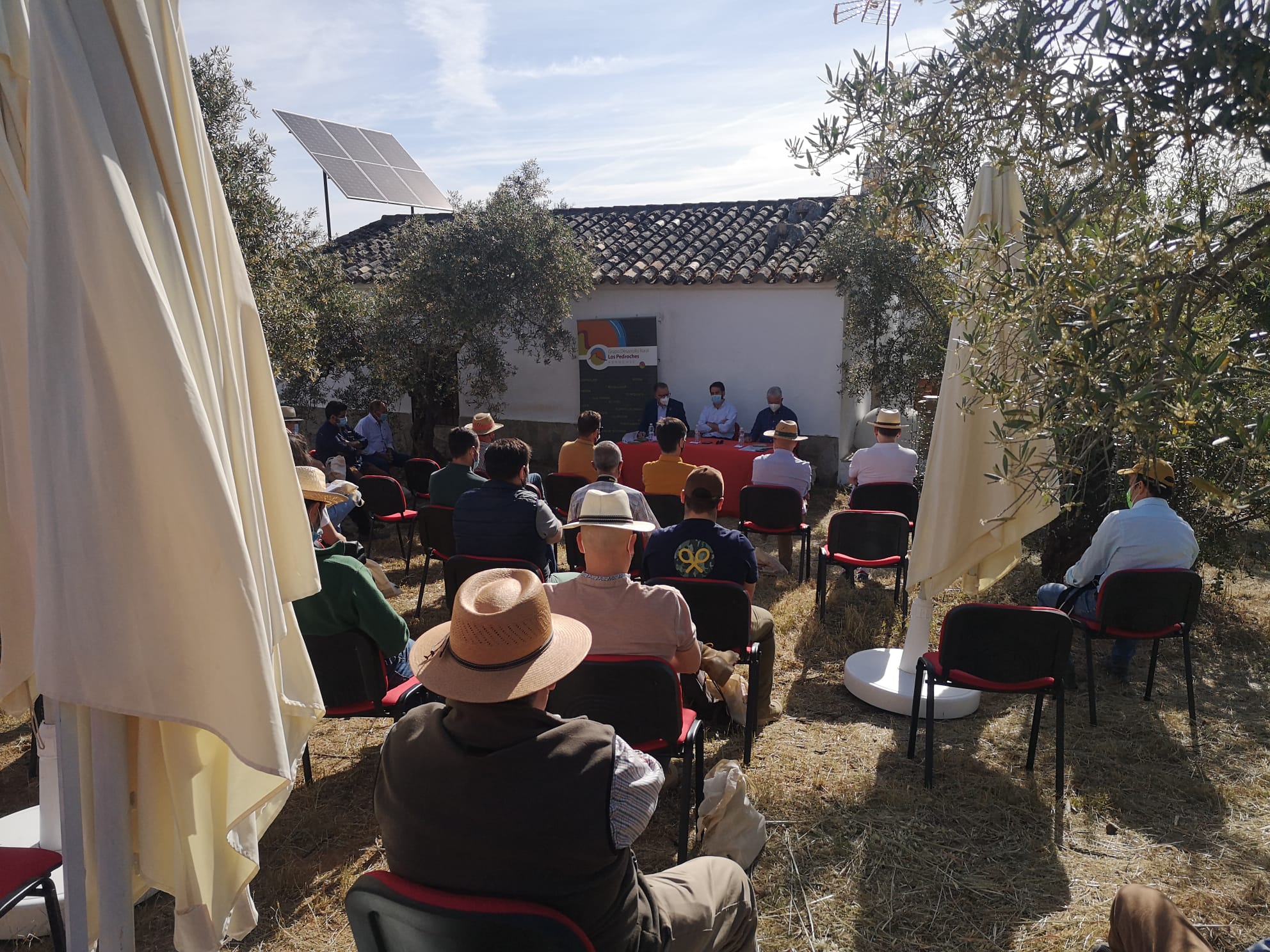 jornadaviñedos
