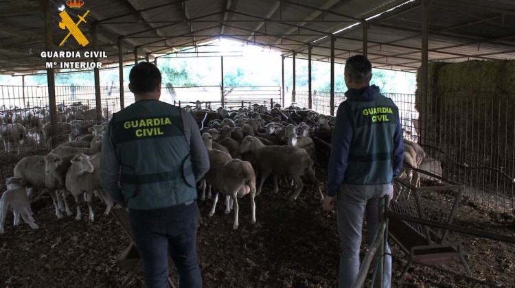 EQUIPOS ROCA EXPLOTACIONES AGRICOLAS Y GANADERAS II