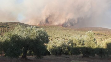 Un incendio en la comarca de Los Pedroches