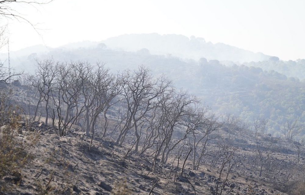 incendio-calatraveño