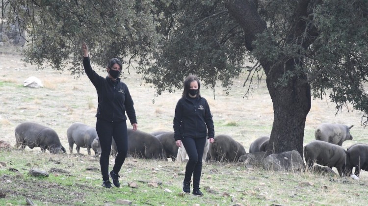 Juani y María José Torralbo en su explotación