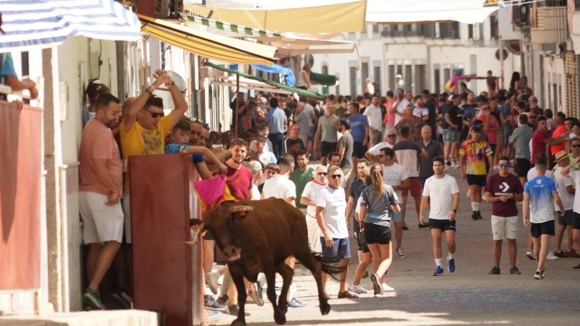 Imagen del primero de los encierros de El Viso en las fiestas de 2022