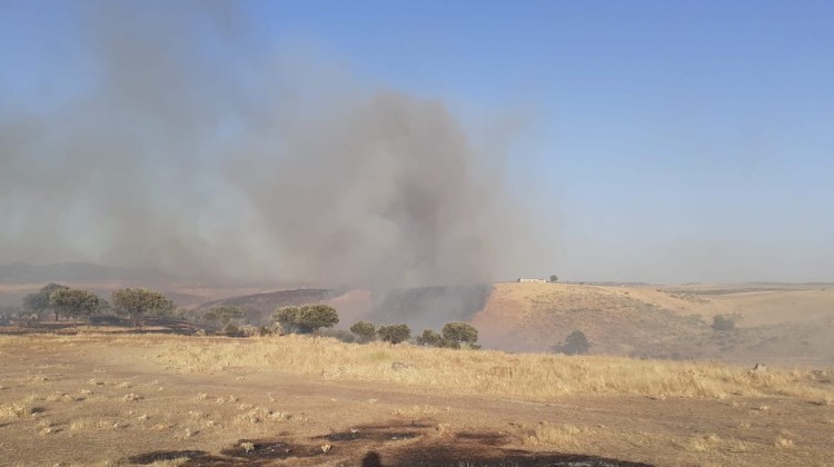 Incendio del Monte Malagón del pasado 25 de julio. Foto: Infoca