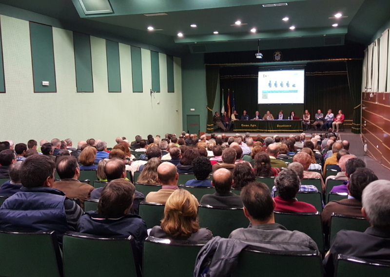 Una de las asambleas generales de la Cooperativa Olivarera Los Pedroches. Foto: Olipe