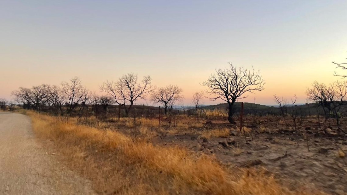 El paisaje del Puerto Calatraveño, un año después