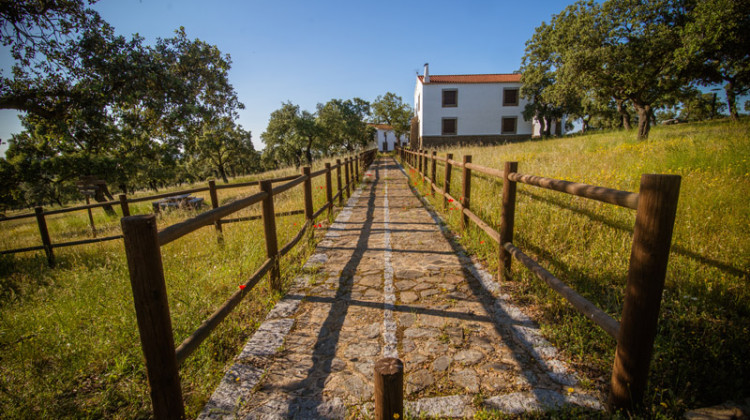 Parque San Martín. Foto: https://www.parquesanmartin.es