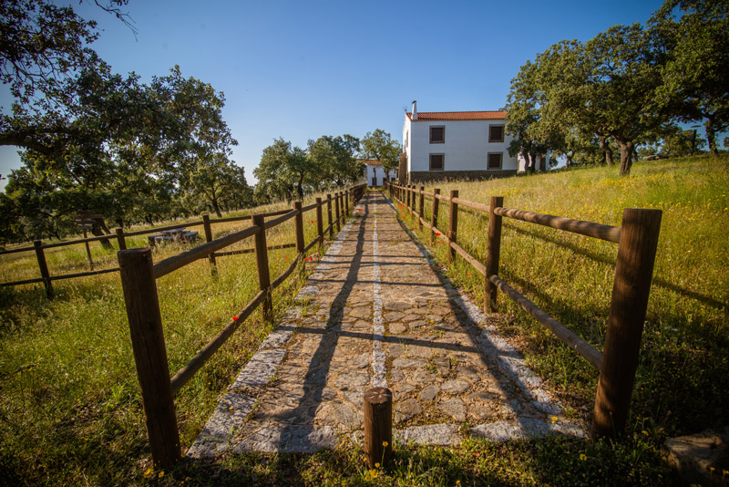 Parque San Martín. Foto: https://www.parquesanmartin.es