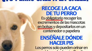 Cartel de la campaña llevada a cabo por el Ayuntamiento de Pedroche