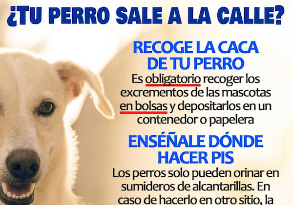 Cartel de la campaña llevada a cabo por el Ayuntamiento de Pedroche