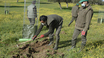 Foto: Prode.es