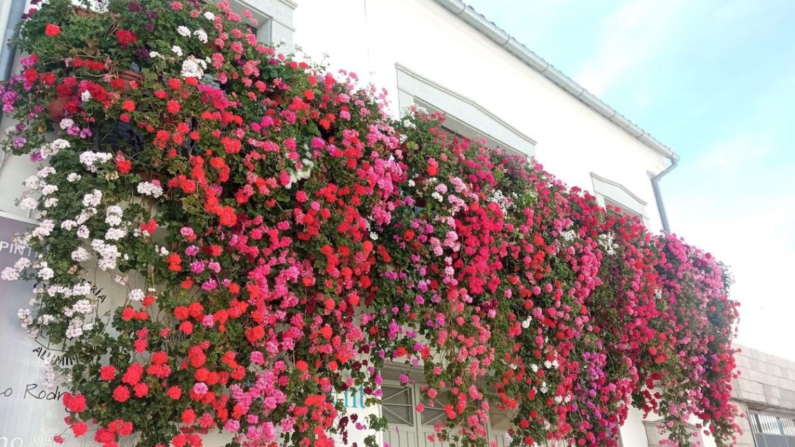 Reja ganadora de Villanueva de Córdoba. Foto: Turismo Villanueva de Córdoba