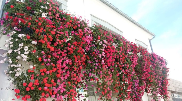 Reja ganadora de Villanueva de Córdoba. Foto: Turismo Villanueva de Córdoba