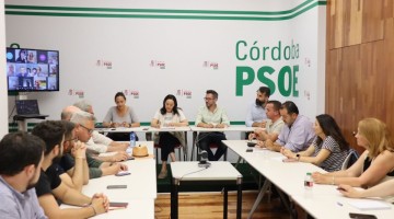 Reunión del comité provincial del PSOE