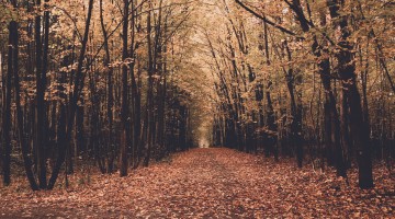 otoño