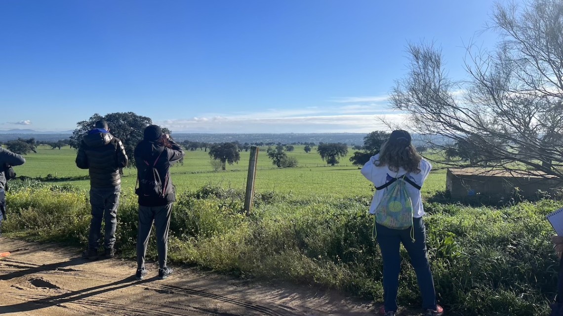 Avistamiento de grullas en la ruta caminada