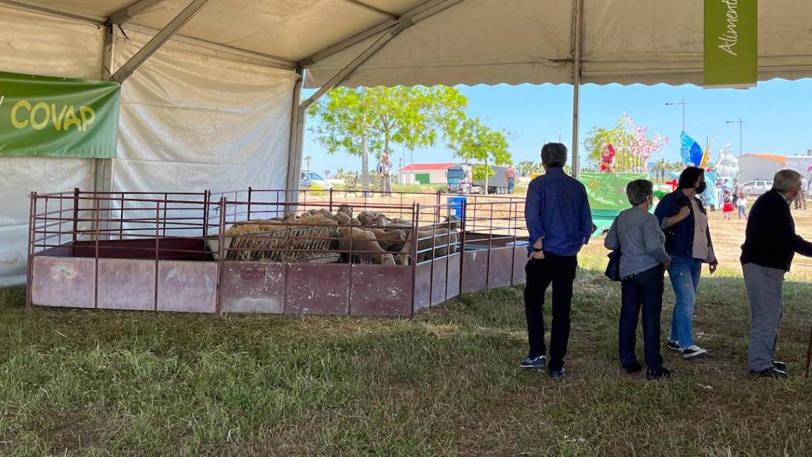 Feria del Pastoreo de Villaralto