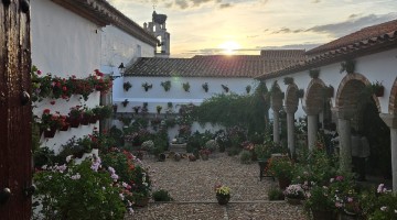 Patio de Pedroche