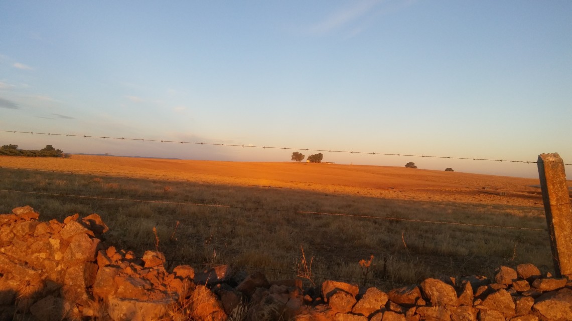 paisaje3