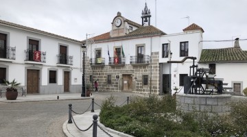 anora_ayto