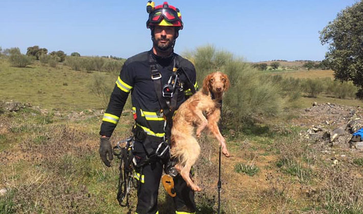 rescateperro