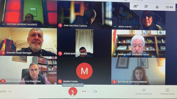 Captura de un momento de la reunión mantenida vía telemática