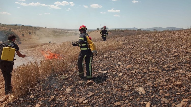 Los bomberos durante las tareas de extinción
