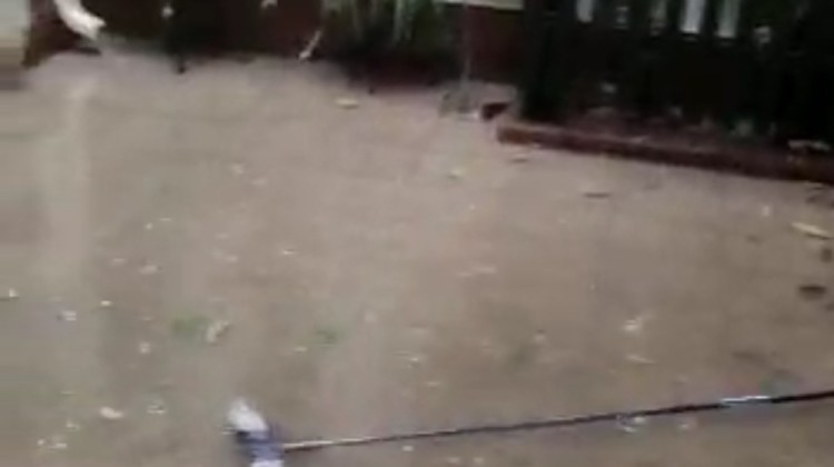 Imagen de una de las viviendas afectadas por las inundaciones