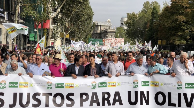 manifestación-campo