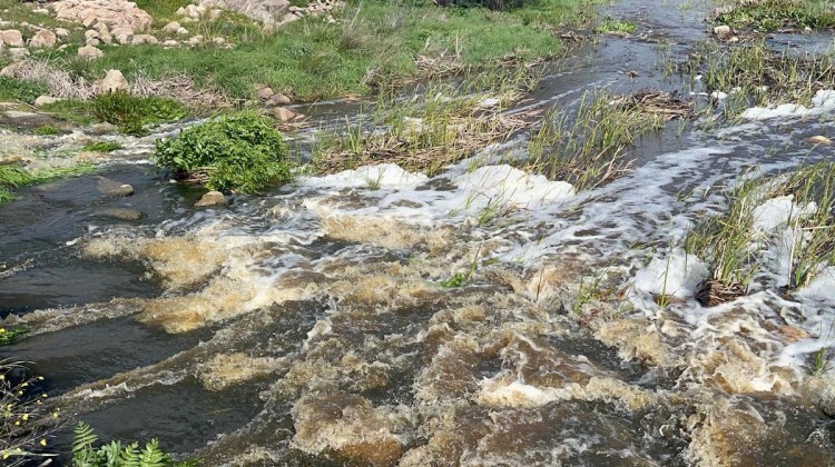 rio_guadarramilla