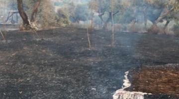 incendio_cerromoreno