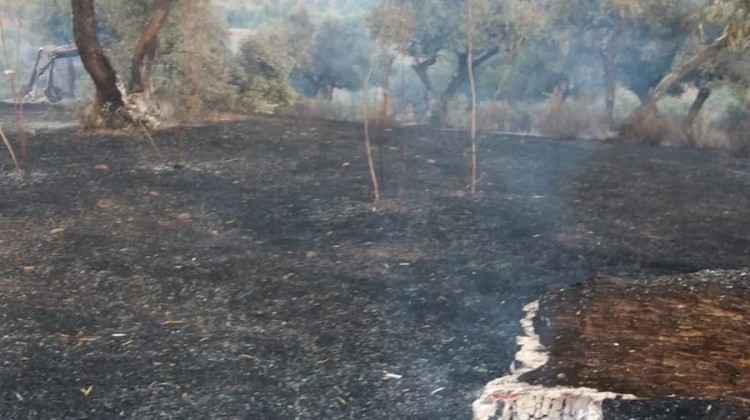 incendio_cerromoreno