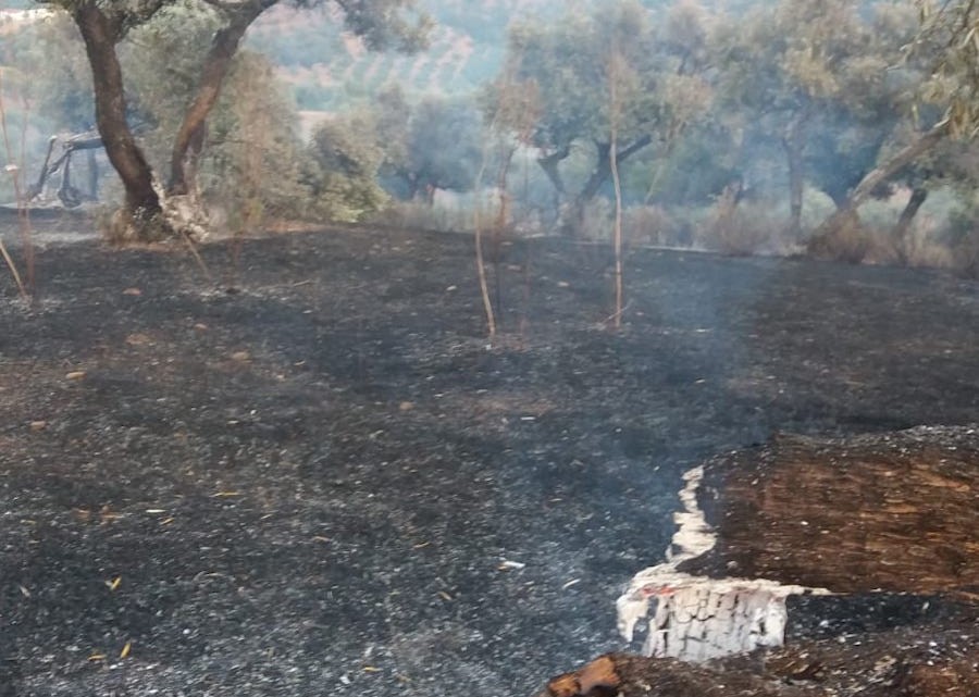incendio_cerromoreno