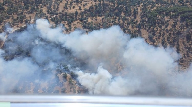 Incendio Cardeña. Foto: INFOCA