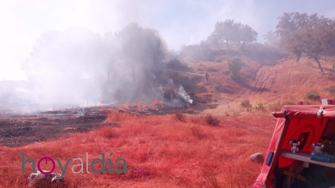 Imagen del incendio que se ha iniciado en las cercanías del AVE