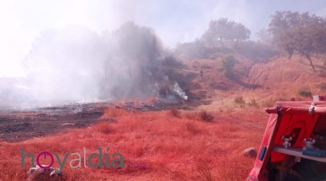 Imagen del incendio que se ha iniciado en las cercanías del AVE