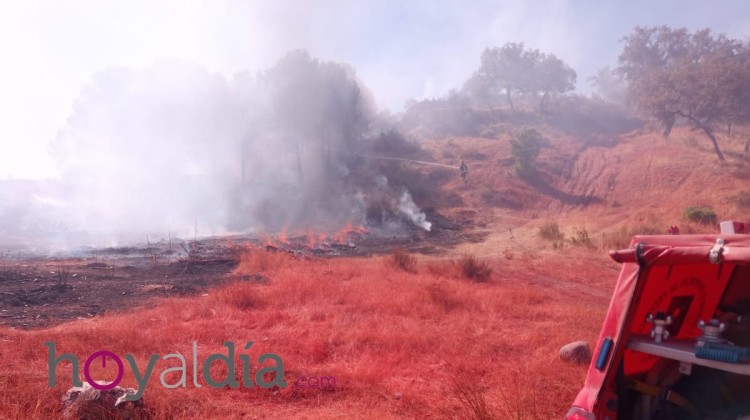 Imagen del incendio que se ha iniciado en las cercanías del AVE