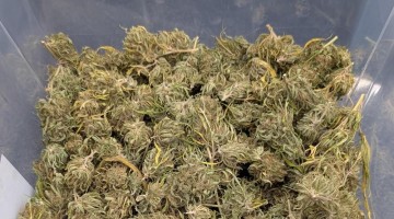 Parte de la droga intervenida