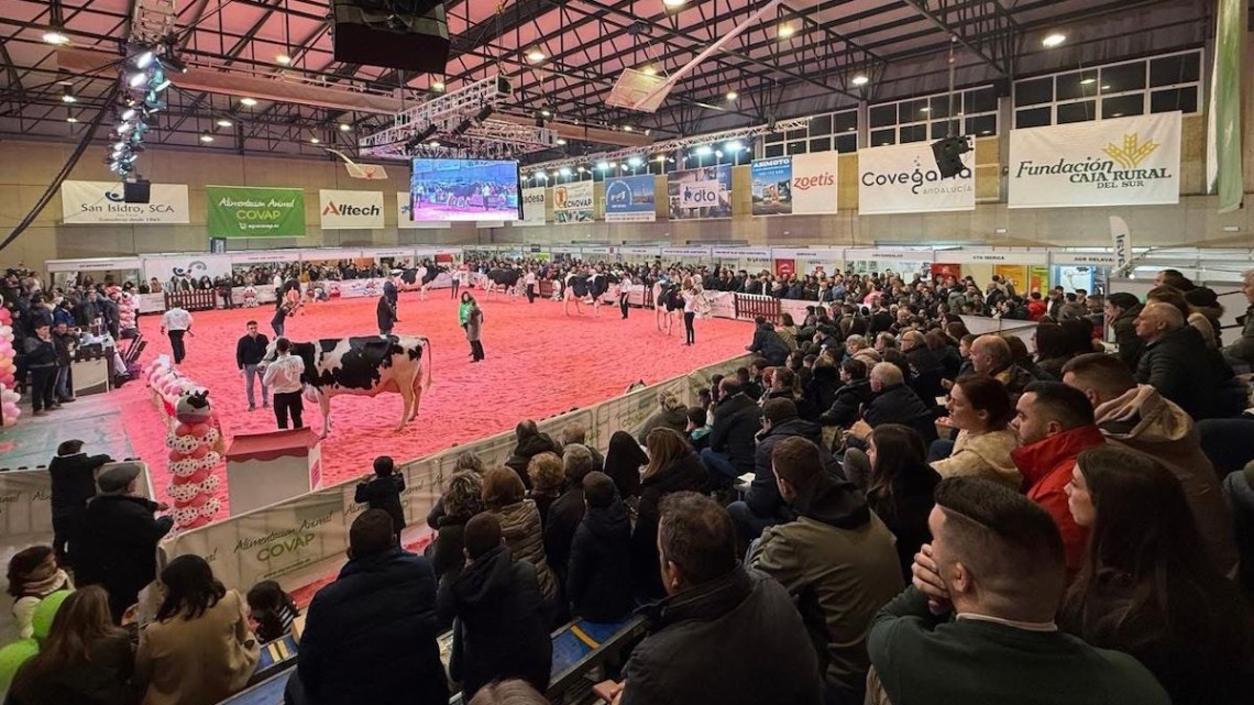 Feria Usías Holsteins