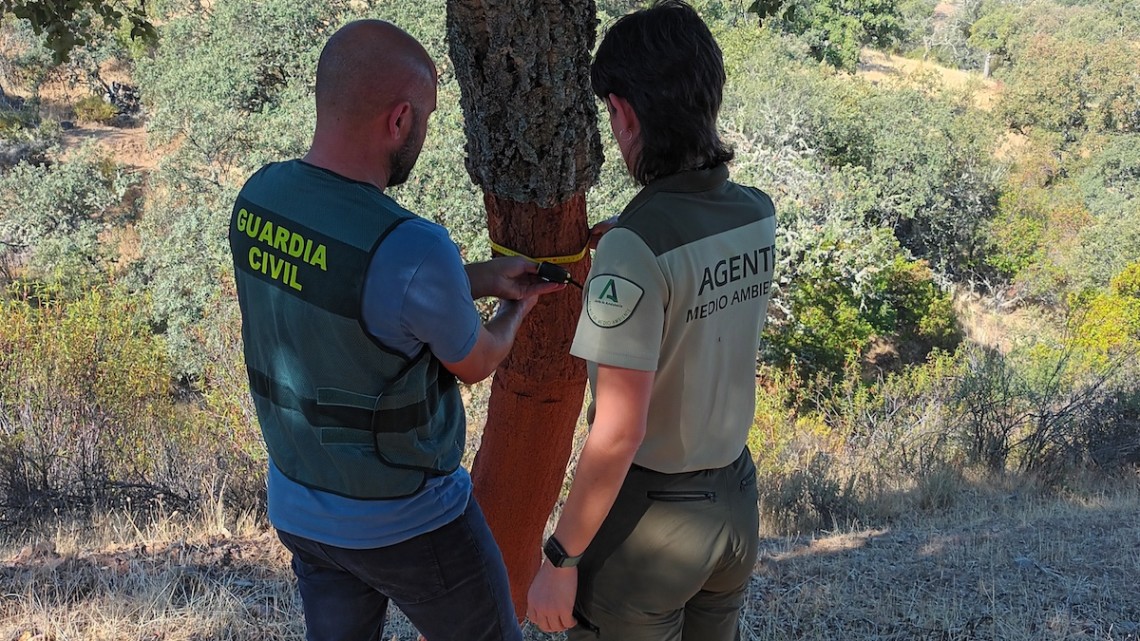 Agentes inspeccionan la zona