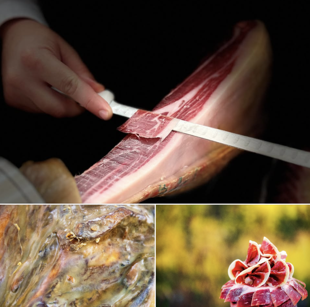 Fotografías premiadas