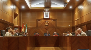 Pleno del mes de diciembre