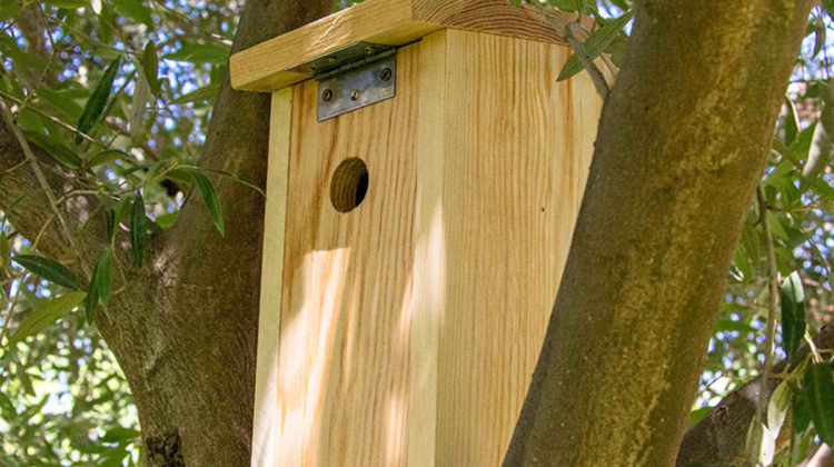 Nidal que se instalará en las fincas cuyos propietarios lo soliciten